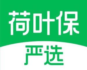 荷叶保严选
